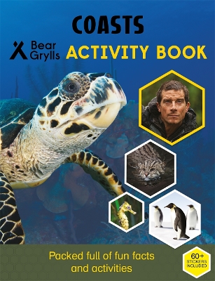 Book cover for Bear Grylls Sticker Activity: Coasts