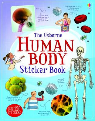 Book cover for Human Body Sticker Book