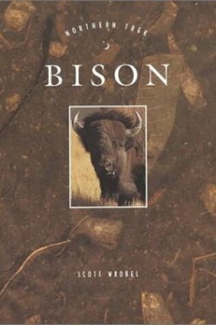 Cover of Bison