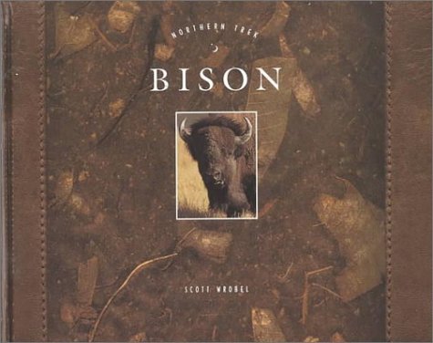 Cover of Bison