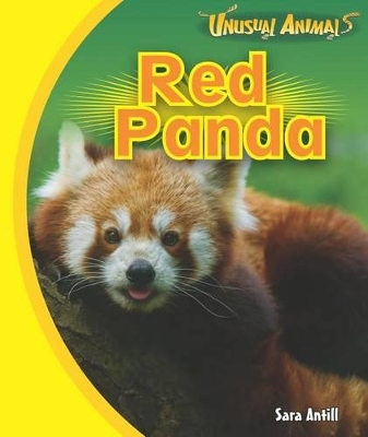 Cover of Red Panda