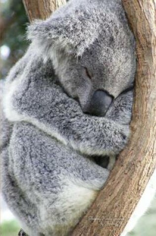 Cover of Sleeping Koala Journal