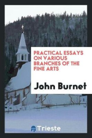 Cover of Practical Essays on Various Branches of the Fine Arts