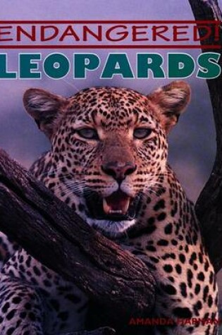 Cover of Leopards