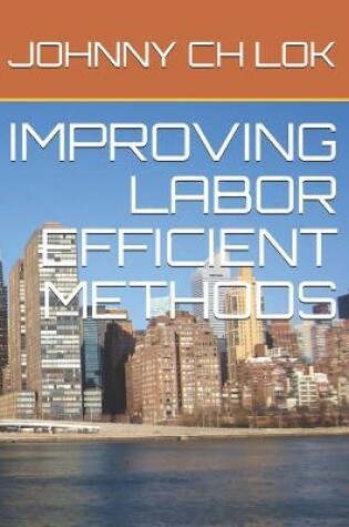 Cover of Improving Labor Efficient Methods