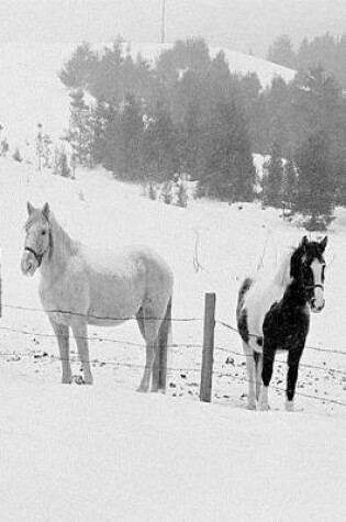 Cover of Journal Horses Winter Pasture