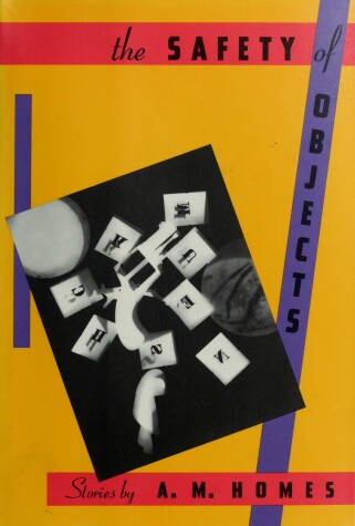 Book cover for The Safety of Objects: Stories