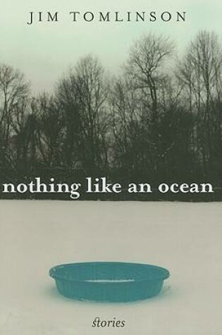 Cover of Nothing Like an Ocean