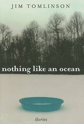 Book cover for Nothing Like an Ocean