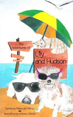 Book cover for The Adventures of Lily and Hudson