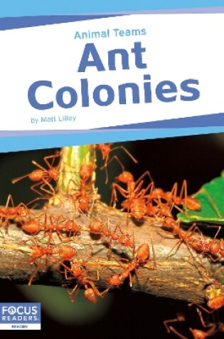 Cover of Animal Teams: Ant Colonies