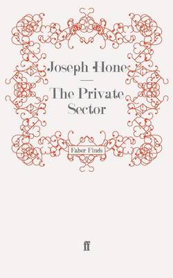 Book cover for The Private Sector