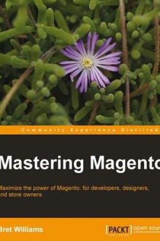 Cover of Mastering Magento