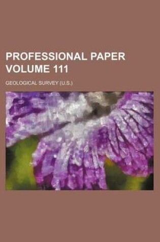 Cover of Professional Paper Volume 111