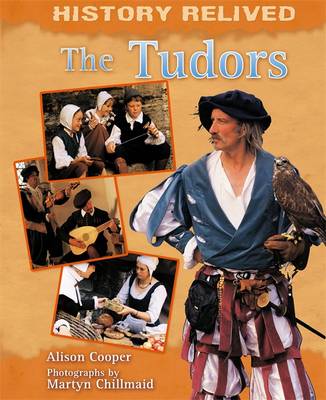 Book cover for The Tudors