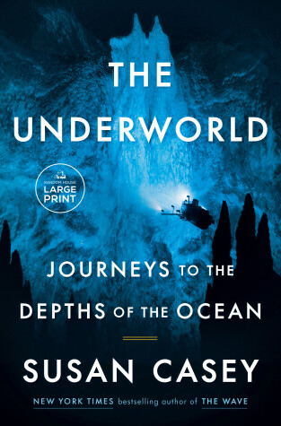 Book cover for The Underworld