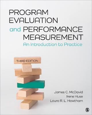 Cover of Program Evaluation and Performance Measurement