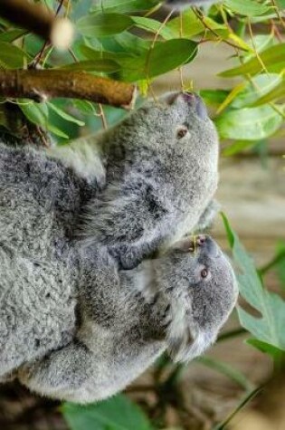 Cover of Baby Koala Piggybacking on Mom Journal