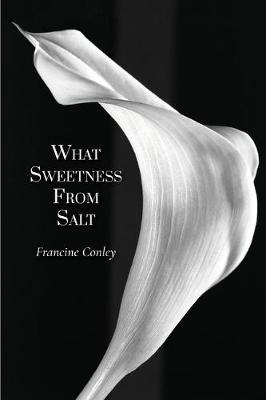 Book cover for What Sweetness from Salt