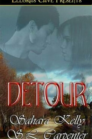 Cover of Detour