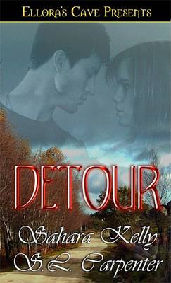 Book cover for Detour