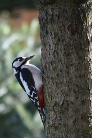 Cover of Great Spotted Woodpecker Notebook