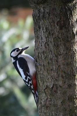 Book cover for Great Spotted Woodpecker Notebook