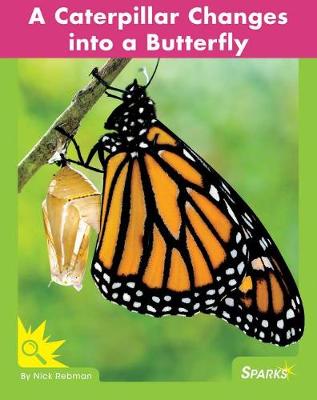 Book cover for A Caterpillar Changes Into a Butterfly
