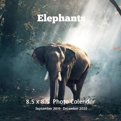 Book cover for Elephants 8.5 X 8.5 Calendar September 2019 -December 2020