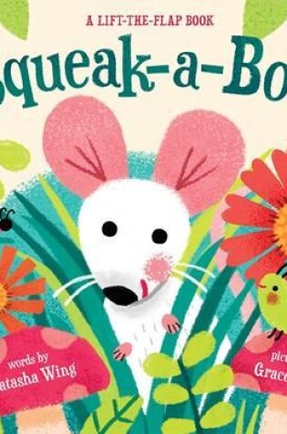 Cover of Squeak-a-boo!