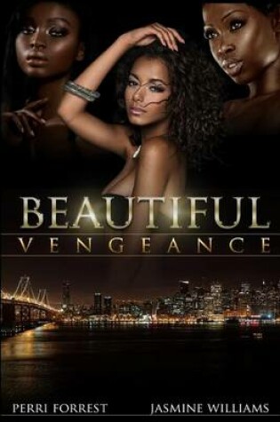 Cover of Beautiful Vengeance
