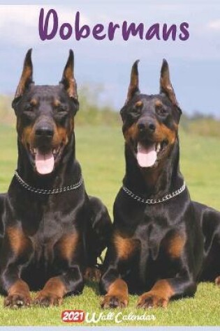 Cover of Dobermans 2021 Wall Calendar