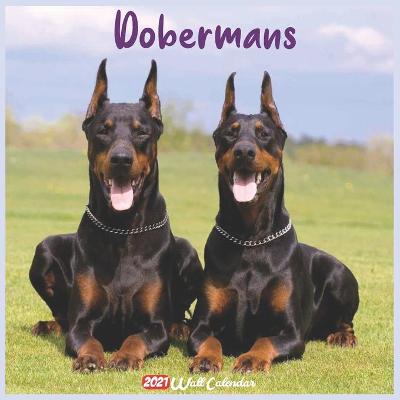 Book cover for Dobermans 2021 Wall Calendar