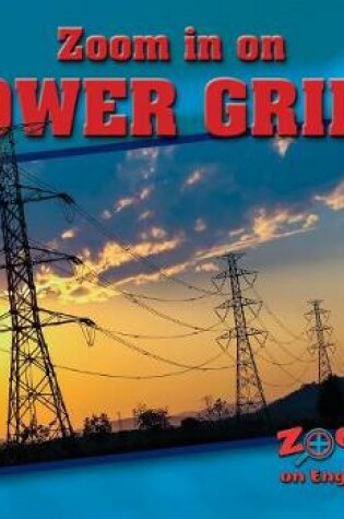Cover of Zoom in on Power Grids