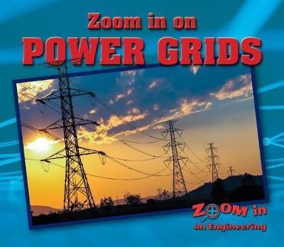 Book cover for Zoom in on Power Grids