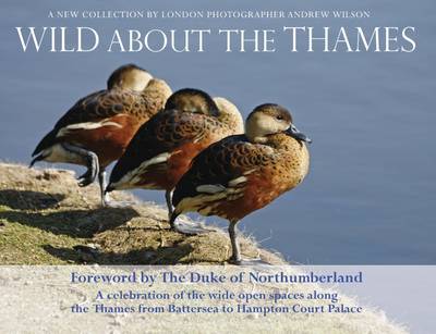Book cover for Wild About the Thames