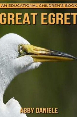 Cover of Great Egret! An Educational Children's Book about Great Egret with Fun Facts & Photos
