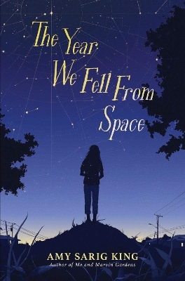 Book cover for The Year We Fell From Space