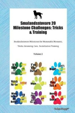 Cover of Smalandsstovare 20 Milestone Challenges