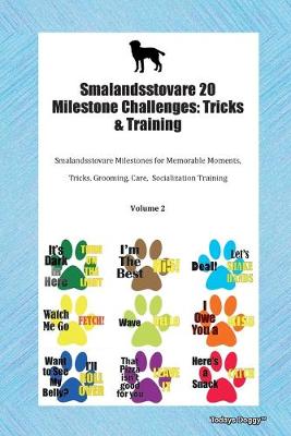 Book cover for Smalandsstovare 20 Milestone Challenges