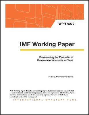 Book cover for Reassessing the Perimeter of Government Accounts in China