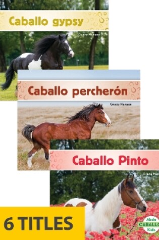 Cover of Caballos (Horses) (Set of 6)