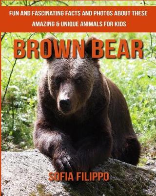 Book cover for Brown Bear