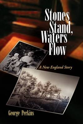 Book cover for Stones Stand, Waters Flow