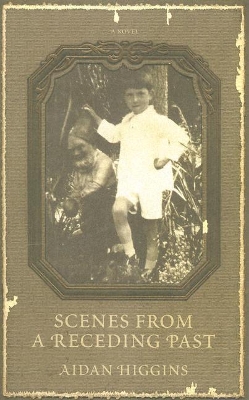 Book cover for Scenes from a Receding Past