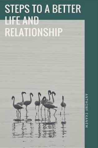 Cover of Steps to a Better Life and Relationship