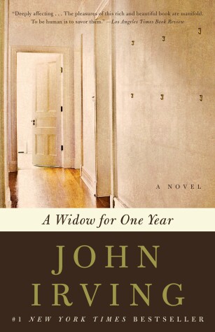Book cover for A Widow for One Year