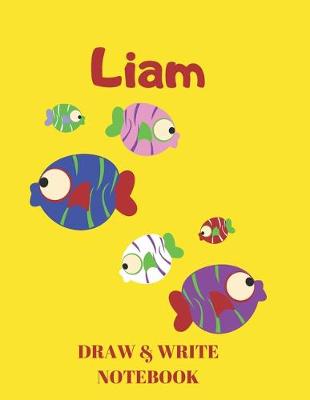 Book cover for Liam Draw & Write Notebook