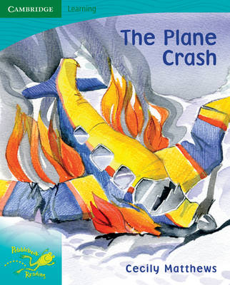 Book cover for Pobblebonk Reading 5.10 The Plane Crash