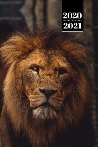 Cover of Lion Week Planner Weekly Organizer Calendar 2020 / 2021 - Evil Eyes